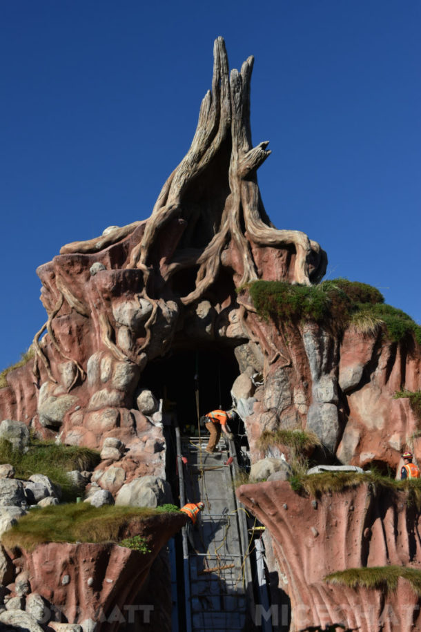 , Disneyland News and Photo Update – Pretty in Pink