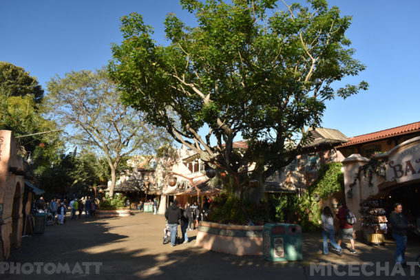 , Disneyland News and Photo Update – Pretty in Pink
