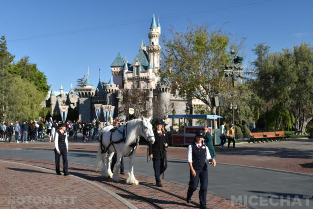, Disneyland News and Photo Update – Pretty in Pink