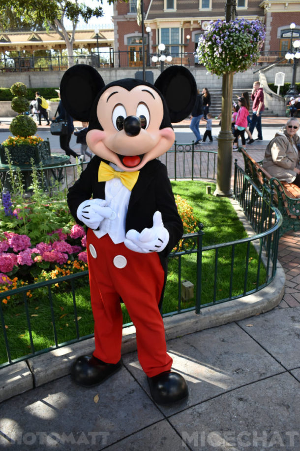 , Disneyland News and Photo Update – Pretty in Pink