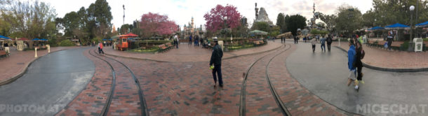 , Disneyland News and Photo Update – Pretty in Pink