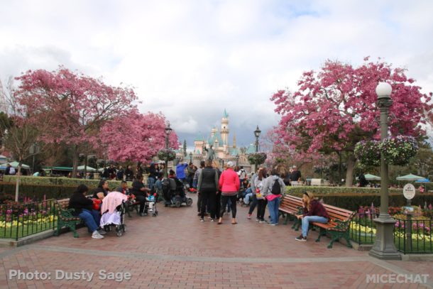 , Disneyland Photo Update – Walls Come Crumbling Down