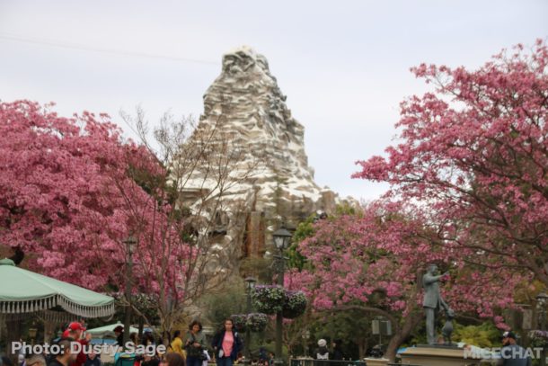 , Disneyland Photo Update – Walls Come Crumbling Down
