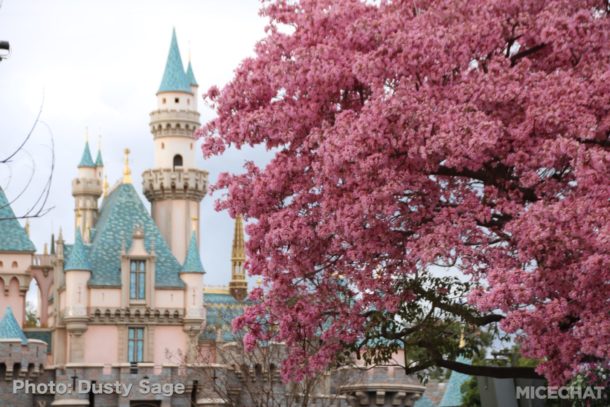 , Disneyland Photo Update – Walls Come Crumbling Down
