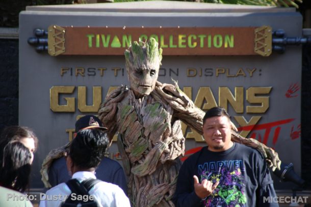 , Disneyland Resort Update – Food & Wine, Construction of New Lands