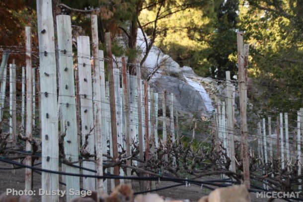 , Disneyland Resort Update – Food & Wine, Construction of New Lands