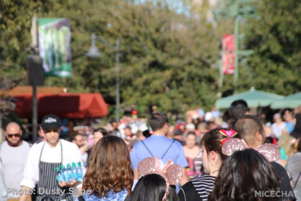 , Disneyland Resort Update – Food & Wine, Construction of New Lands