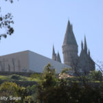IMG_8899-Disneyland-