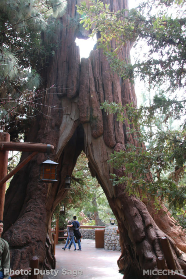 , Disneyland Update: Pixar Fest and Pirates Redressed