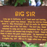 IMG_9175-Disneyland-
