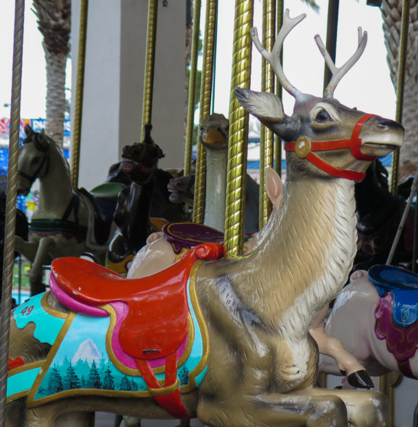 , California’s Great America: Looking Forward; Looking Back