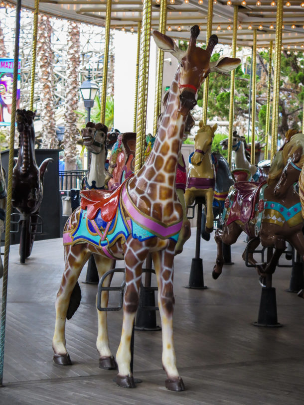 , California’s Great America: Looking Forward; Looking Back