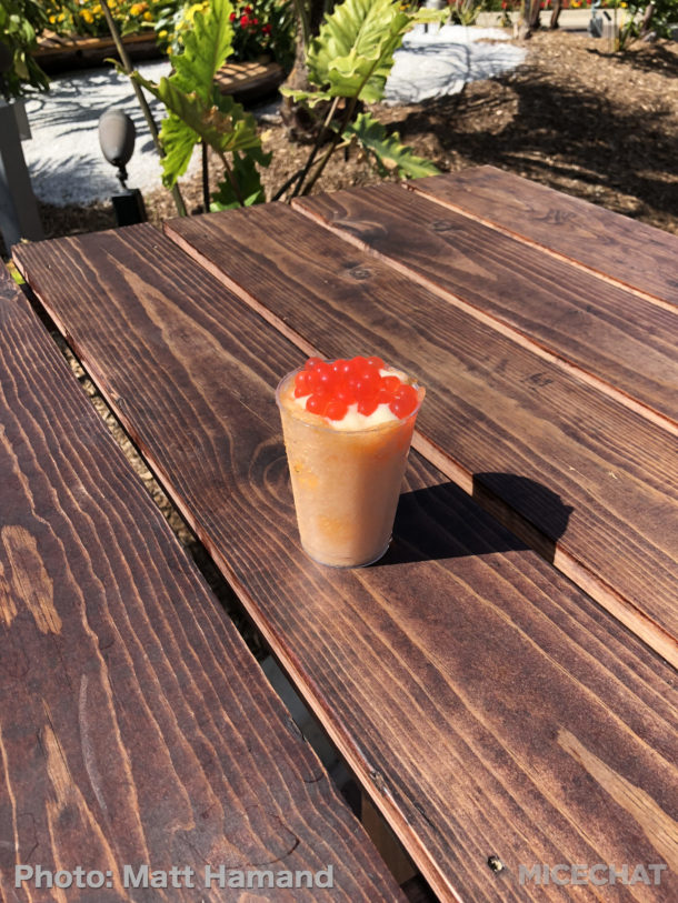 , SeaWorld San Diego – Seven Seas Food Festival 2018
