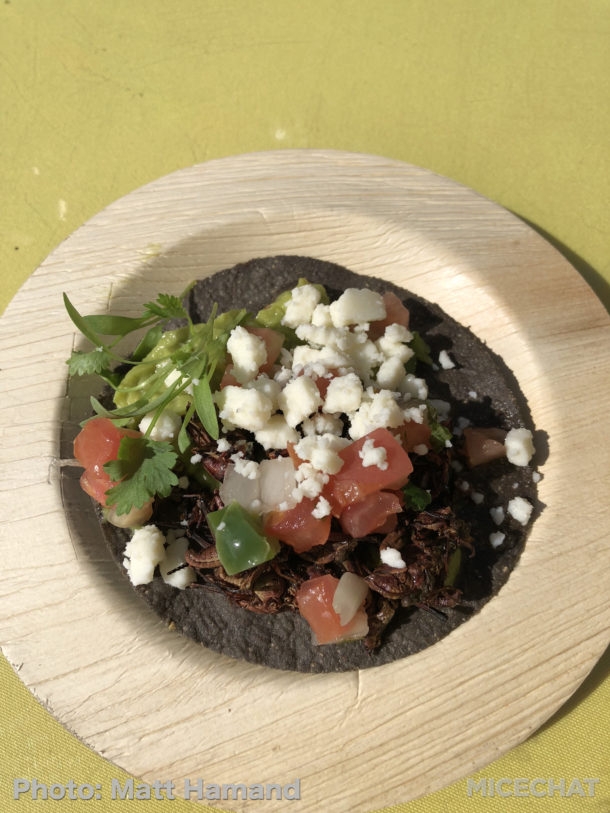 , SeaWorld San Diego – Seven Seas Food Festival 2018