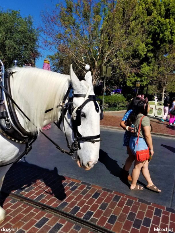 , Disneyland Resort Photo Update: Bug Off