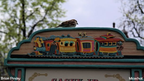 , Disneyland Photo Update: Eggs and Epic Rain