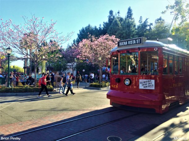 , Disneyland Resort Photo Update: Bug Off