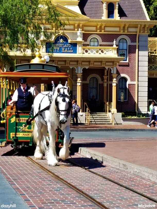 , Disneyland Resort Photo Update: Bug Off