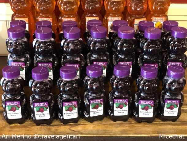 , Knott’s Berry Farm Update: Boysenberry Fest & HangTime