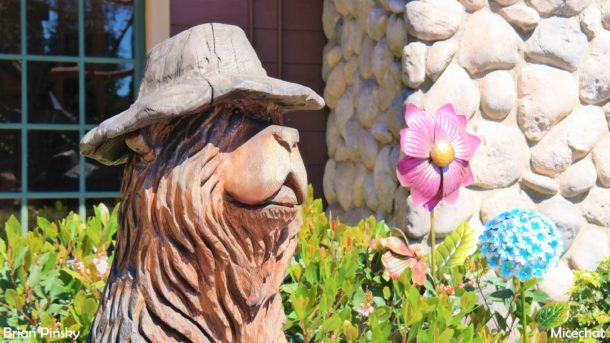 , Knott’s Berry Farm Update: Boysenberry Fest & HangTime
