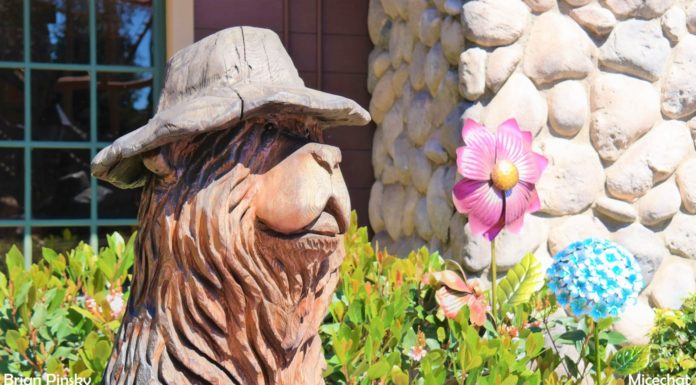 Knott’s Berry Farm Update: Boysenberry Fest & HangTime