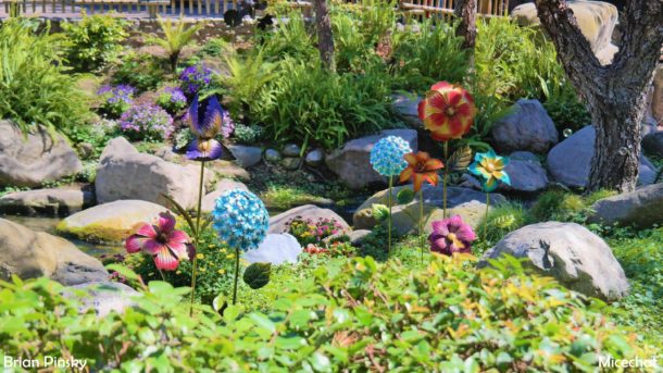 , Knott’s Berry Farm Update: Boysenberry Fest & HangTime
