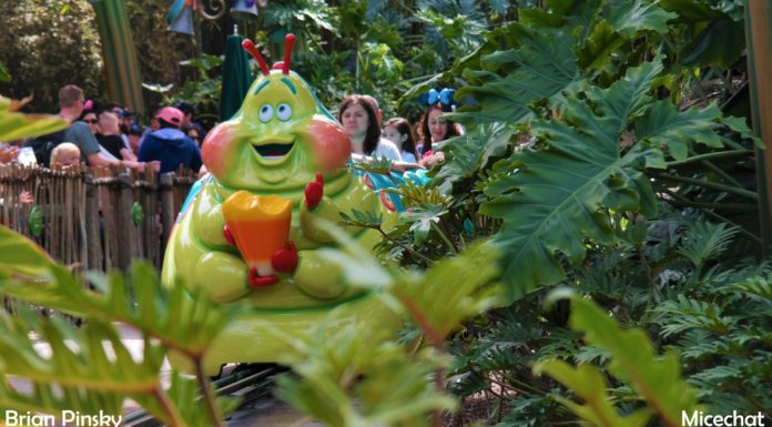 Disneyland Resort Photo Update: Bug Off