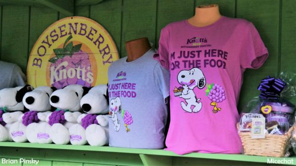 , Knott’s Berry Farm Update: Boysenberry Fest & HangTime