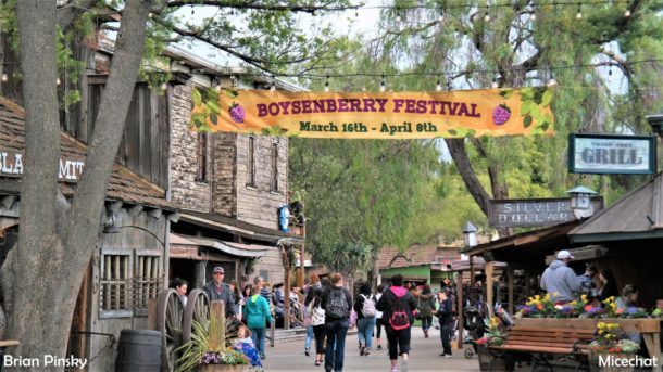 , Knott’s Berry Farm Update: Boysenberry Fest & HangTime