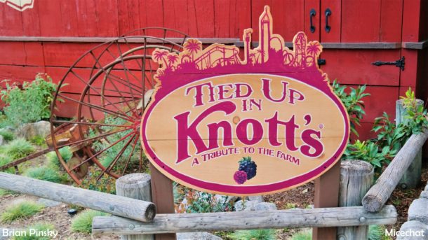, Knott’s Berry Farm Update: Boysenberry Fest & HangTime