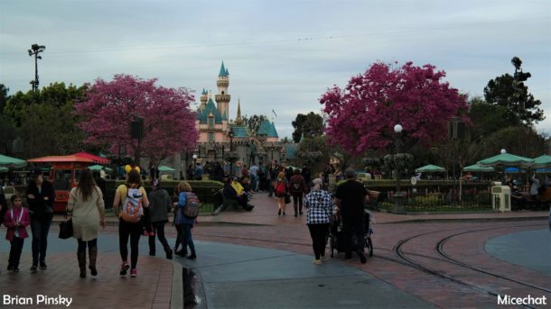 , Disneyland Photo Update: Eggs and Epic Rain