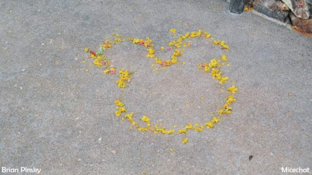 , Disneyland Photo Update: Eggs and Epic Rain