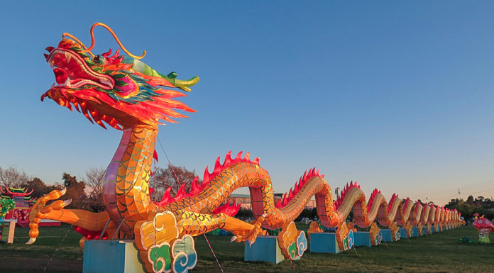 Solano Lantern Light Festival Colors The Night By The Bay