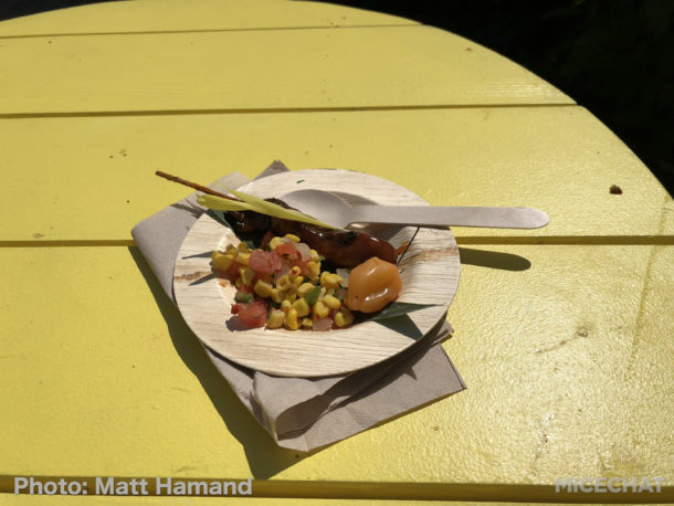 , SeaWorld San Diego – Seven Seas Food Festival 2018