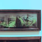 29744505_10204619059354198_6554347909037951877_o