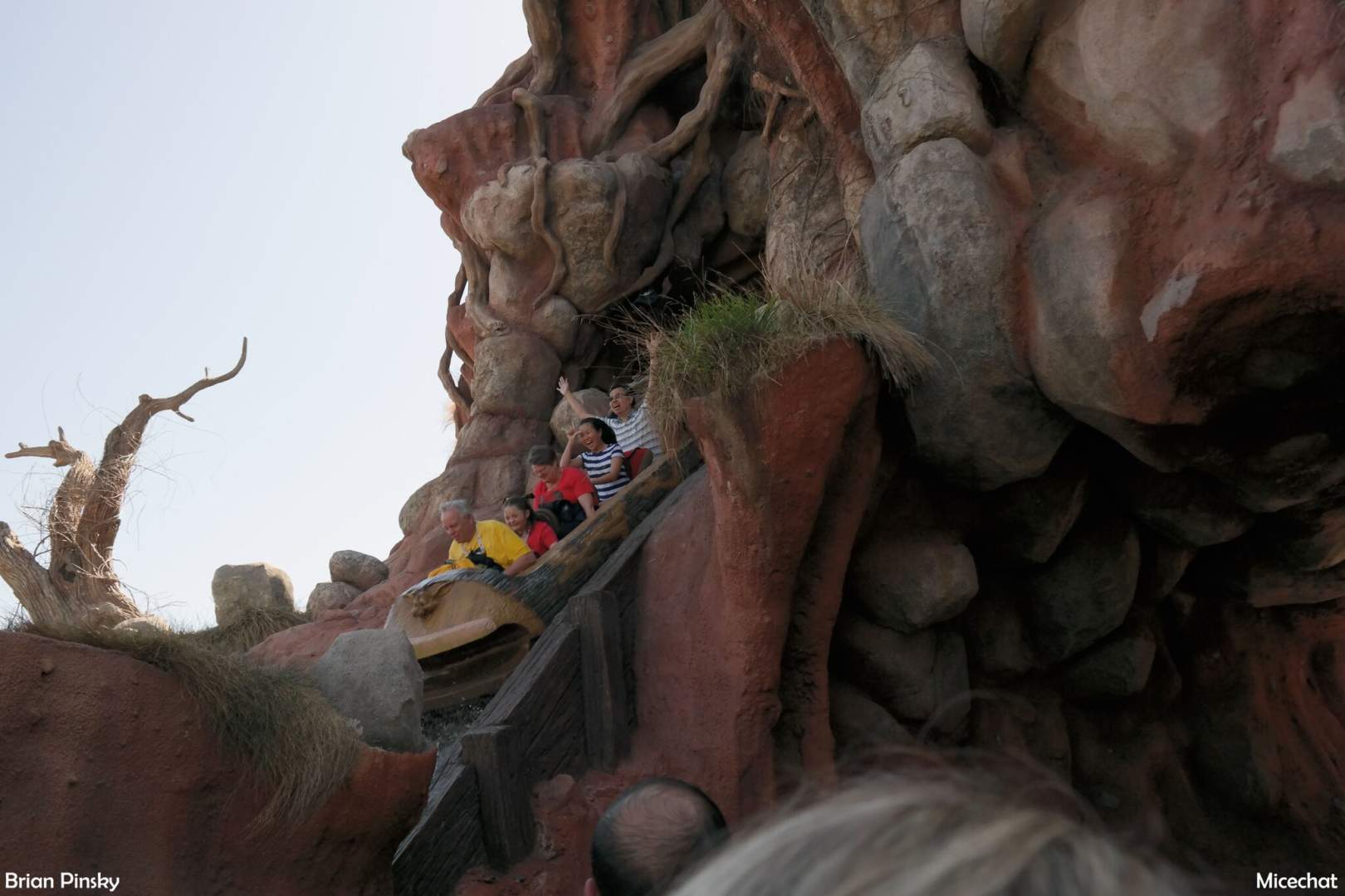 Best Disneyland Thrill Ride, Best Disneyland Thrill Ride Revealed!