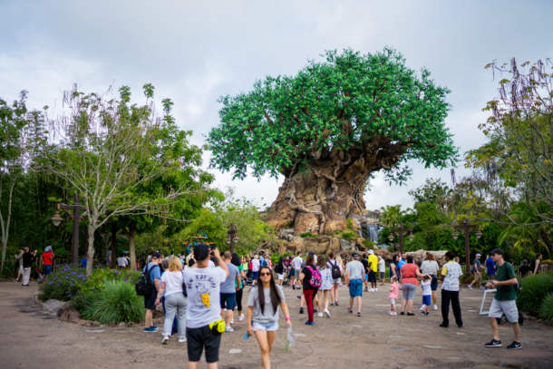 , Dateline Disney World – Animal Kingdom News and Photos