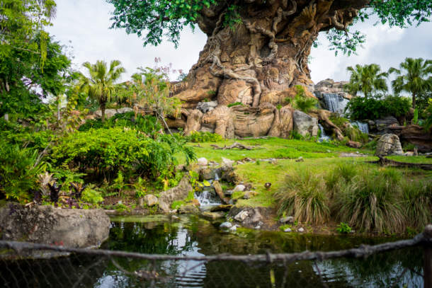 , Dateline Disney World &#8211; Animal Kingdom News and Photos