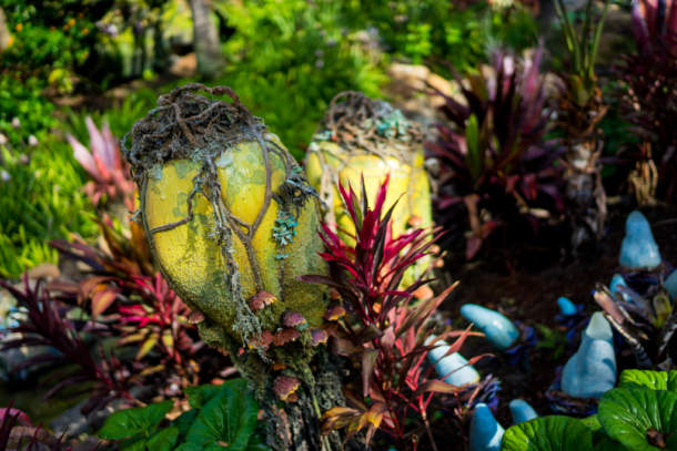 , Dateline Disney World – Animal Kingdom News and Photos