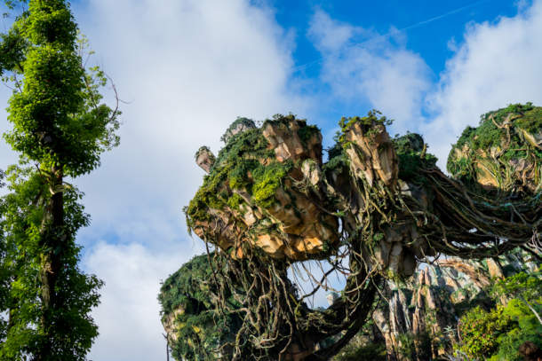 , Dateline Disney World &#8211; Animal Kingdom News and Photos