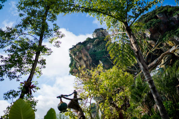 , Dateline Disney World – Animal Kingdom News and Photos
