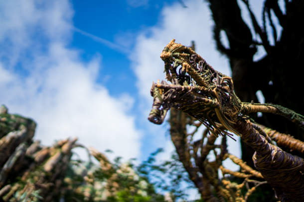 , Dateline Disney World – Animal Kingdom News and Photos