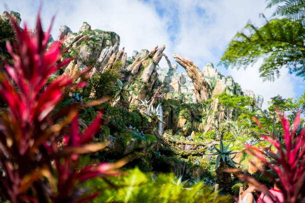 , Dateline Disney World – Animal Kingdom News and Photos