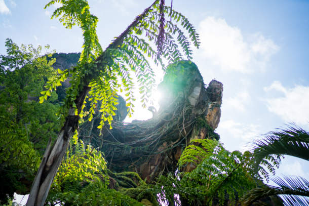 , Dateline Disney World – Animal Kingdom News and Photos