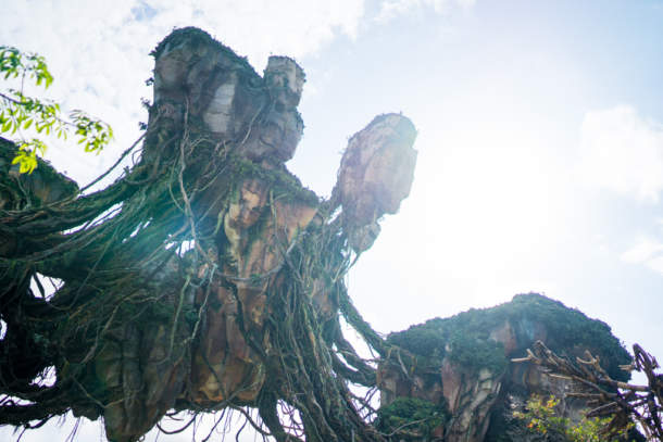 , Dateline Disney World – Animal Kingdom News and Photos