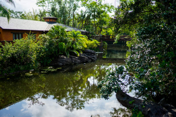 , Dateline Disney World &#8211; Animal Kingdom News and Photos