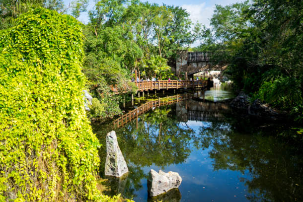 , Dateline Disney World &#8211; Animal Kingdom News and Photos