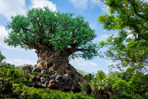 , Dateline Disney World – Animal Kingdom News and Photos