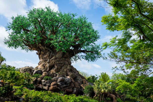 , Dateline Disney World &#8211; Animal Kingdom News and Photos