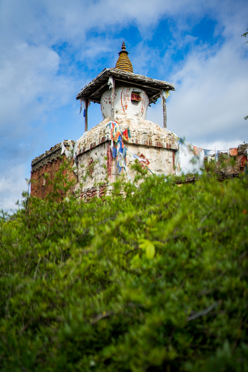 , Dateline Disney World – Animal Kingdom News and Photos